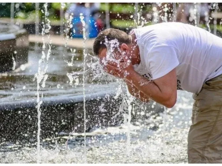 منظمة الصحة العالمية: موجات الحر الشديد تتسبب في وفاة أكثر من 175 ألف شخص سنويًا في أوروبا