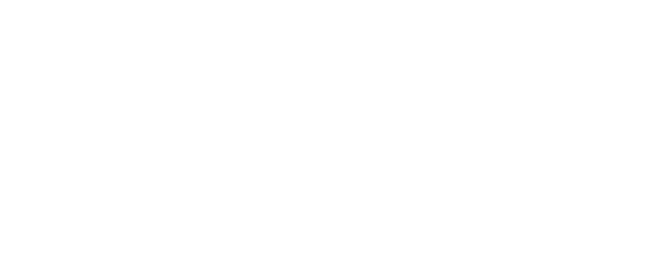 ديز 24