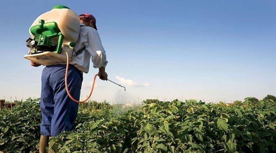 البرلمان يعيد الحديث حول خطر مبيدات الحشرة القرمزية