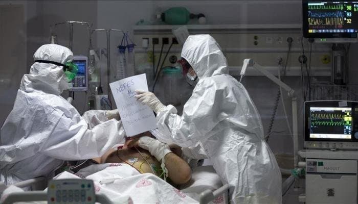 ضواحي القنيطرة … هجوم مفاجئ للنحل يقتل ثلاثينيا