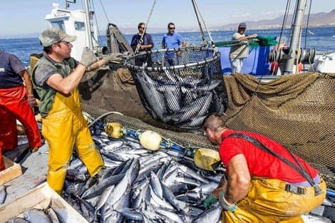 إرتفاع أسعار الوقود يهدد بشل الصيد البحري في موانئ المغرب