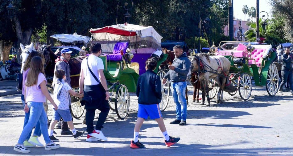 المغرب … الاعلان عن تجاوز للمعدل العالمي في استرجاع السياح
