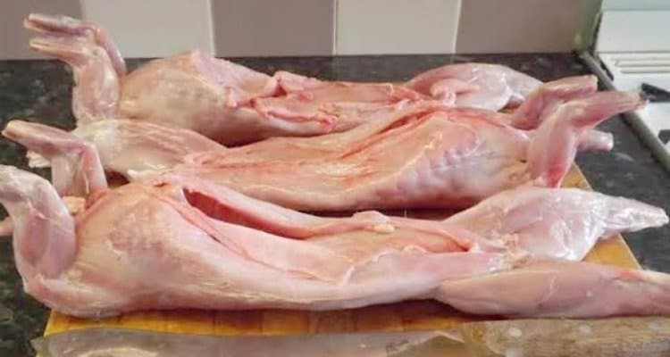 سلطات الجزائر تصدم الجماهير وتقر ببيع لحوم القطط وذلك تزامنا مع تنظيم “الشان
