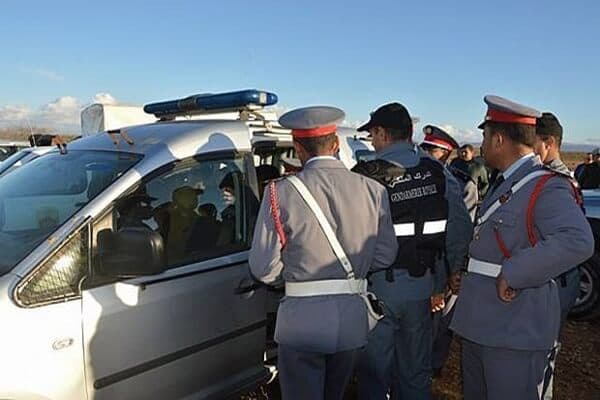 توقيف ستيني وابنه لتورطهما في سرقة مواشي ضواحي اجلموس
