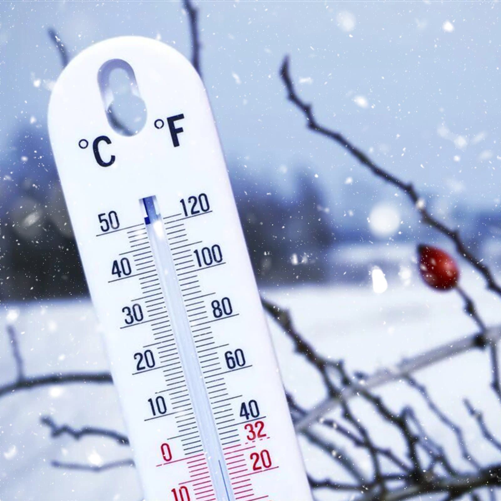 نشرة خاصة.. طقس بارد مع درجات حرارة تتراوح ما بين ناقص7 و 19 درجة، وذلك ابتداء من يوم غد الجمعة