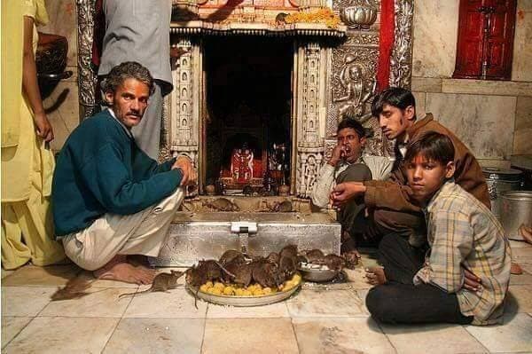مقتل 36 شخصا في انهيار أرضية معبد بالهند