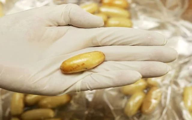 توقيف برازيلي وزوجته للاشتباه في تورّطهما في إدخال الكوكايين إلى المغرب