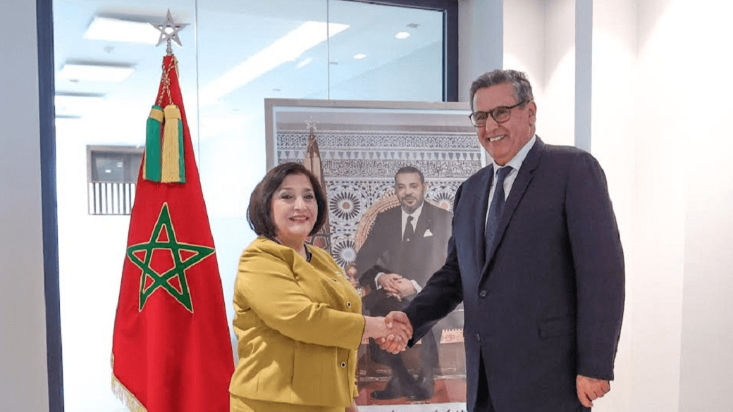 رئيس الحكومة يستقبل رئيسة الجمعية الوطنية لأذربيجان.