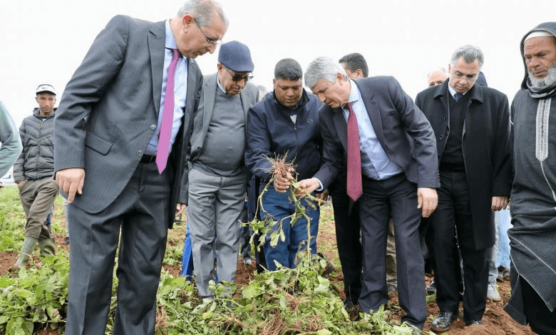 السيد صديقي : أشغال تهيئة القطب الفلاحي اللوكوس شارفت على الانتهاء.