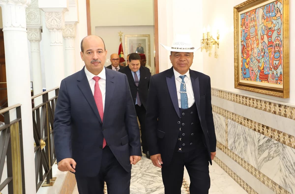 النعم ميارة يتباحث مع رئيس مجلس الشيوخ بجمهورية مدغشقر.