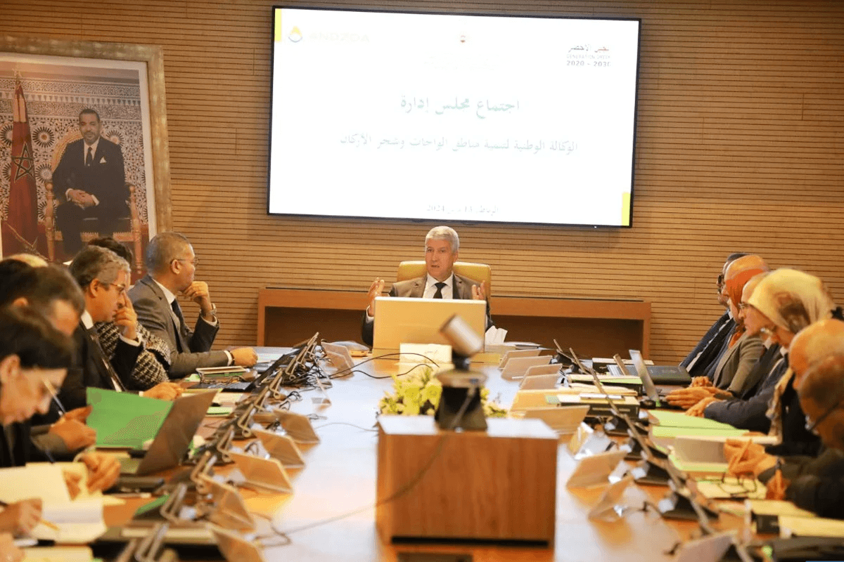 تنظيم الدورة 13 لمجلس إدارة الوكالة الوطنية لتنمية مناطق الواحات وشجر الأركان