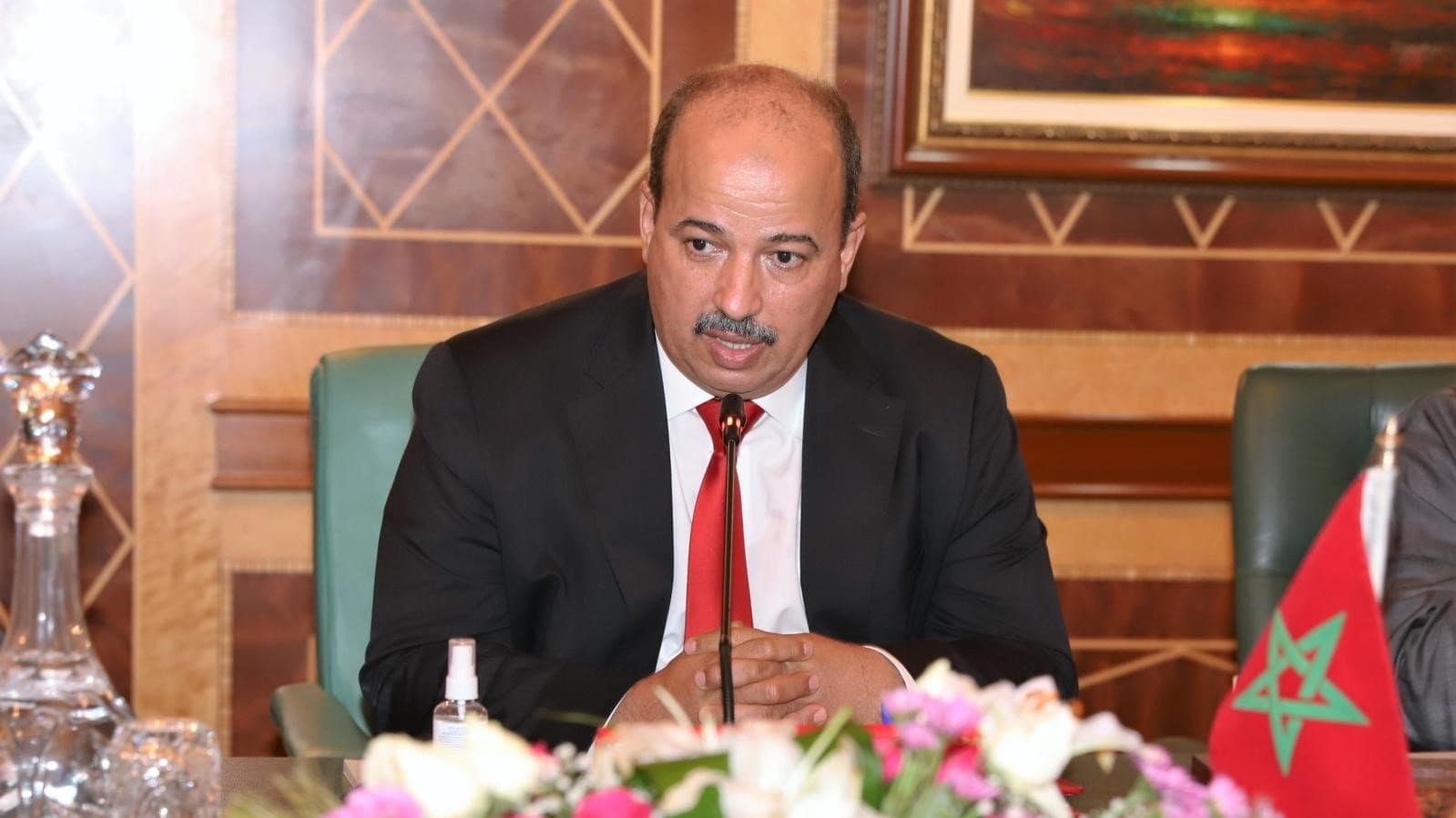 النعم ميارة يتباحث مع نائبة رئيسة مجلس النواب التشيكي بالرباط