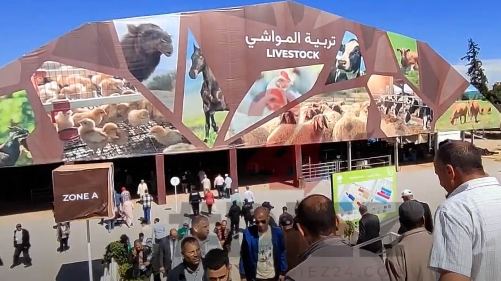 فيديو .. جولة في جناح تربية المواشي بالمعرض الدولي للفلاحة بمكناس