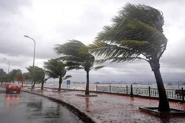 نشرة إنذارية : أمطار قوية أحيانا رعدية غدا الأربعاء بعدد من أقاليم شمال المملكة