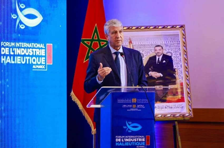 محمد صديقي يبرز الدور الهام والمركزي لقطاع الصيد البحري