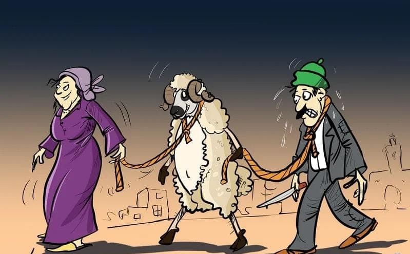 شراء الأضاحي بالقروض الاستهلاكية .. "حلول مالية" تستقطب الأسر المغربية