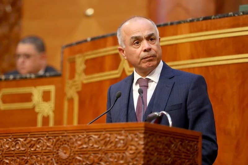 بنموسى يستعرض بمجلس المستشارين إجراءات تنزيل النظام الأساسي الجديد