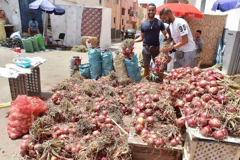 زيادة استهلاك البصل في عيد الأضحى تؤجل استئناف التصدير إلى عمق إفريقيا
