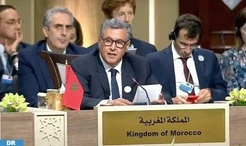عمان : أخنوش يؤكد أن المغرب بقيادة جلالة الملك يجدد دعمه للمبادرات والمقترحات الهادفة إلى وقف إطلاق نار دائم في غزة