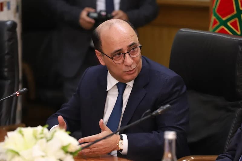 بوبريك: التغطية الصحية لن تقصي أي مغربي .. وتعزيز المراقبة ضمانة للتوازنات