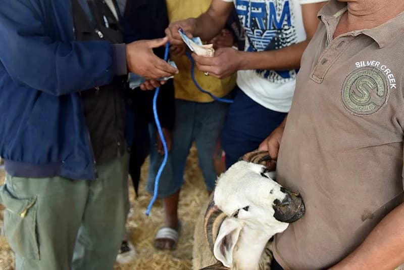 "كاش عيد الأضحى" ينذر بهجرة ألف مليار سنتيم من المدينة نحو البادية