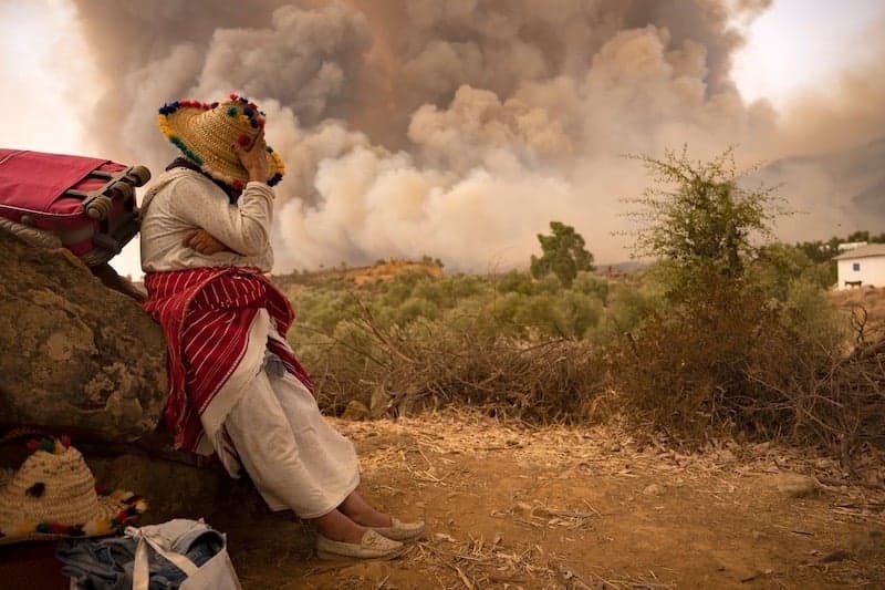 بنجيرة: خصوصيات المنطقة تزيد خطر اندلاع حرائق الغابات في شمال المغرب