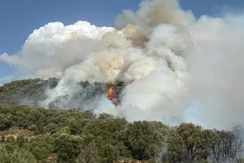 المغرب يبدأ مرحلة الصيف رسميا .. ودرجات الحرارة تتحكم في خريطة الحرائق