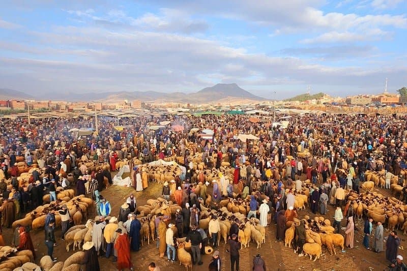 أجلموس تشهد ميلاد مشاريع إضافية