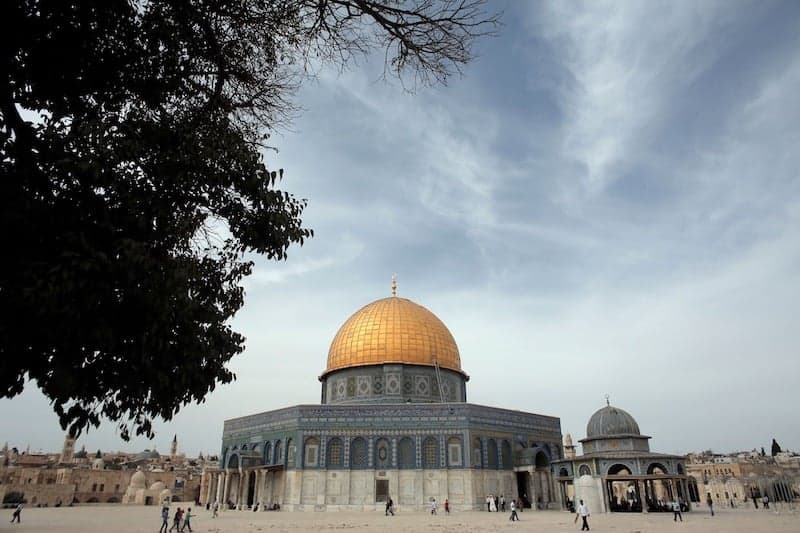 قدس وصين وحجاز و"فردوس مفقود ".. نجاة المريني تنشر "مسار رحلات"