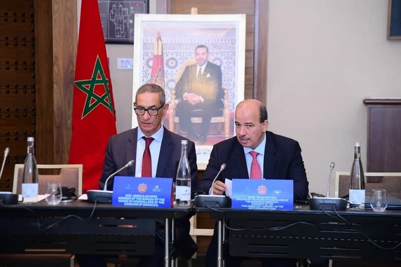 ميارة يترافع عن التنمية بقارة إفريقيا