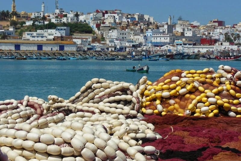 زيادة مفرغات الصيد بميناء العرائش
