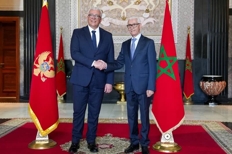الطالبي يستقبل رئيس برلمان مونتينغرو