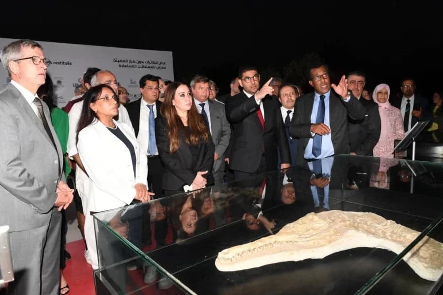 افتتاح معرض للأحافير المستعادة بالموقع الأثري سيدي عبد الرحمان في الدار البيضاء