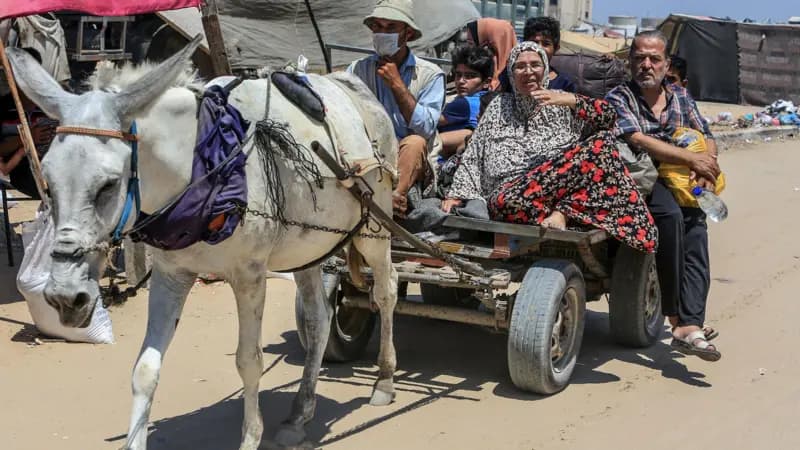 بيان مصري قطري أمريكي مشترك: واشنطن قدمت مقترحا يقلص فجوات المفاوضات