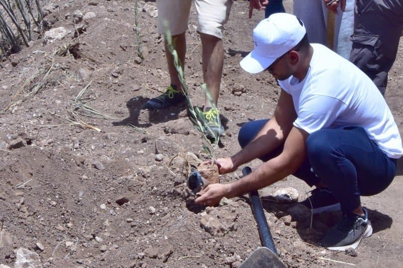 التشجير يشجع بيضاويين على التأطير