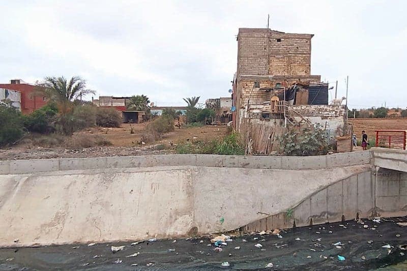 استنبات العشوائي في مناطق ببوسكورة يستنفر السلطات بجهة الدار البيضاء