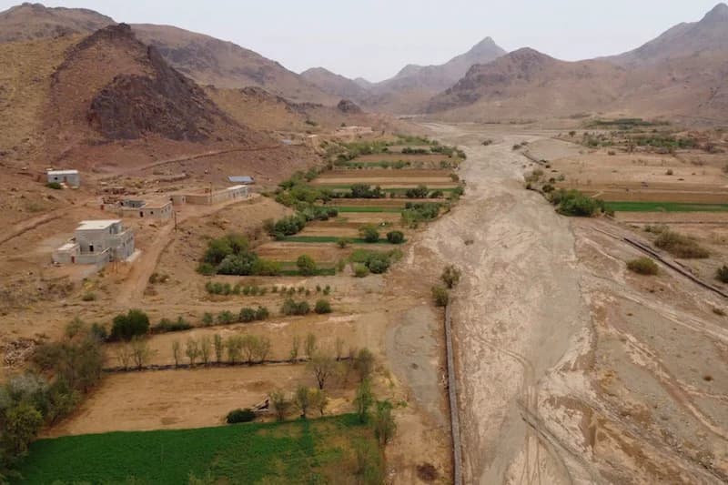 أمطار الخير تنعش واحات الجنوب الشرقي