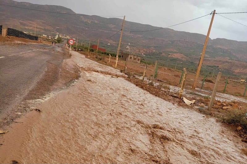 عواصف تؤذي زراعات بجهة الشرق