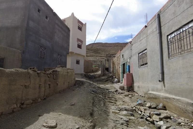 بعد السيول الجارفة .. ساكنة الجنوب الشرقي تتخوف من تزايد خطر العقارب