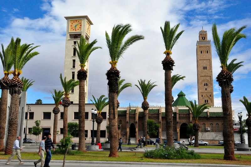 فعاليات بيئية تثمن توجه جماعات إلى اعتماد الأشجار بدل النخيل بالمغرب