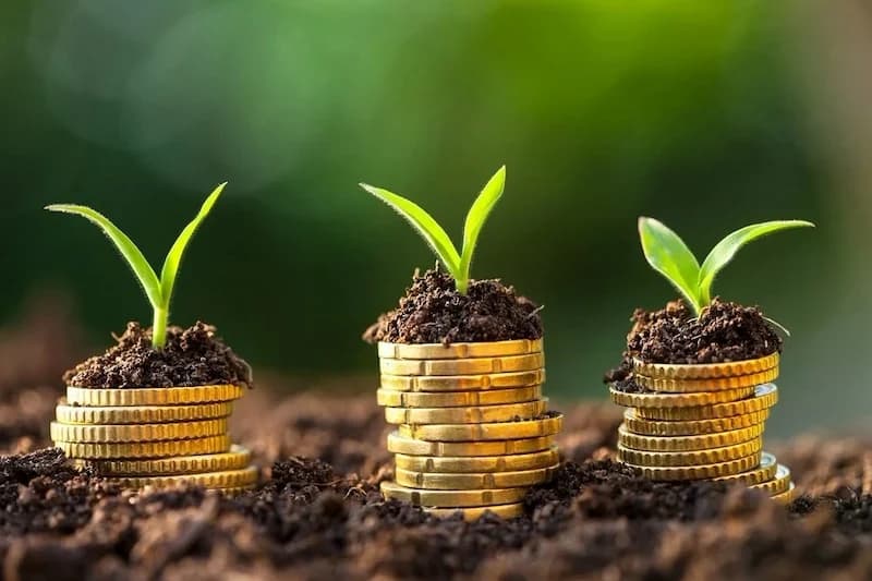 استراتيجية « تمويلات المناخ » بالمغرب .. تجربة ناجحة واحتياجات متزايدة