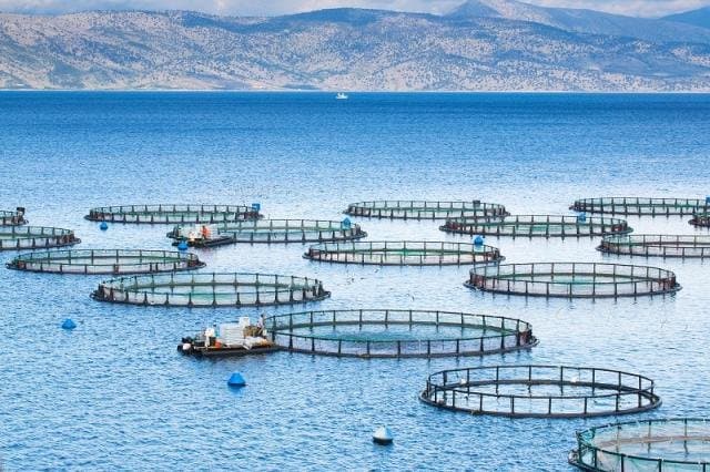 البنك الدولي يقرض المغرب 350 مليون دولار لتعزيز الاقتصاد الأزرق