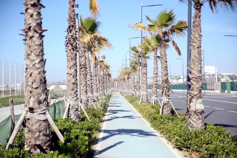والي البيضاء ينتصر لوقف "التنخيل"