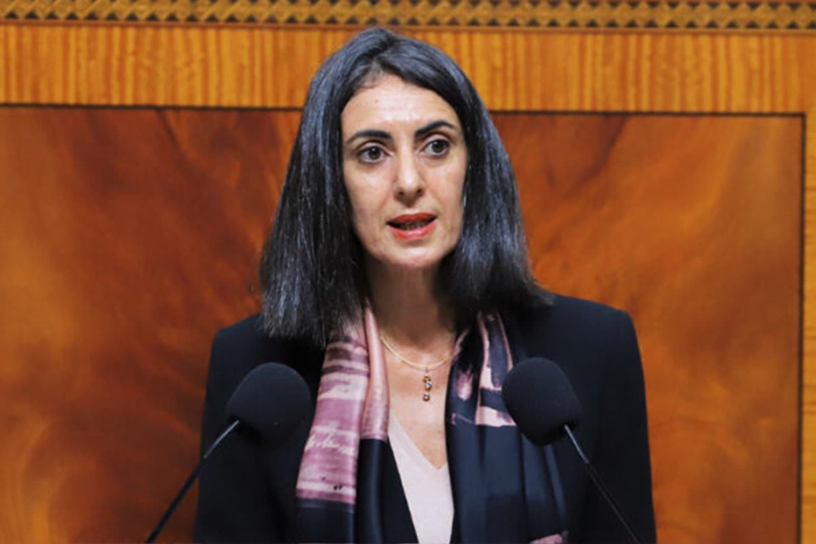 قانون المالية 2025: تقليص العجز وتعزيز الاقتصاد المغربي والطاقة النظيفة