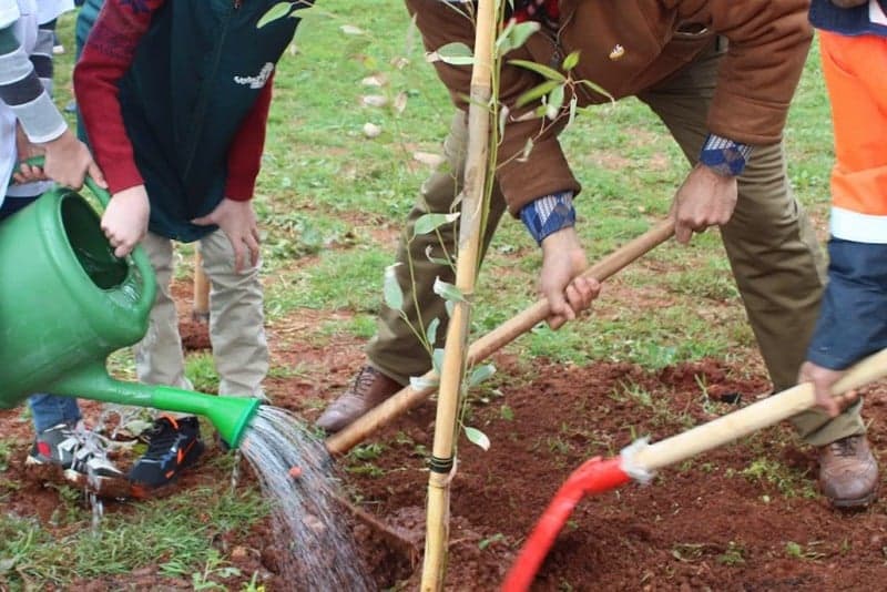 « أياد بيضاء » تطلق مبادرة لدعم التشجير في الناظور