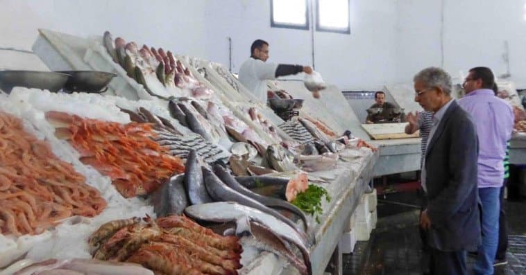 توفير السمك المجمد في رمضان بأسعار تتراوح من 17 إلى 100 درهم