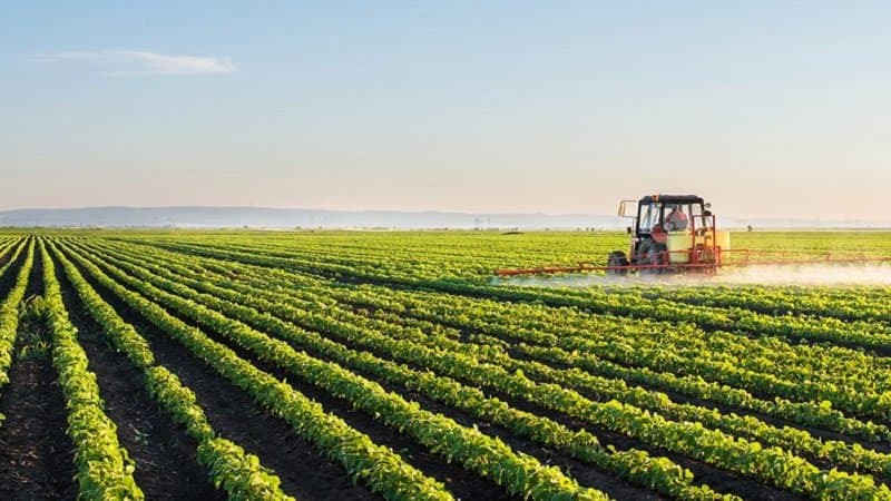 استثمار 70 مليون درهم من Agri Trade Maroc لإنشاء مصنع جديد بمكناس