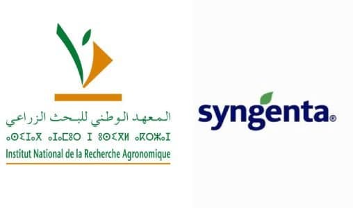 المعهد الوطني للبحث الزراعي وشركة سينجينتا يعلنان نتائج شراكتهما