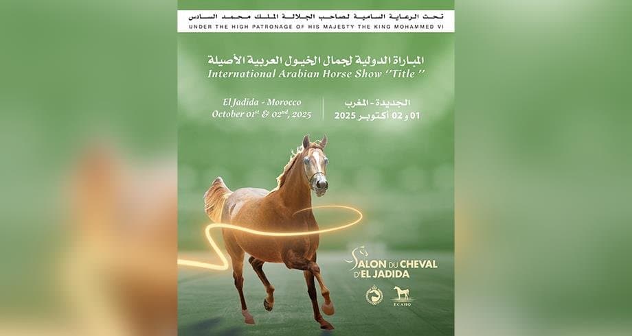 الجديدة تستضيف “Title Show” العالمي للخيول