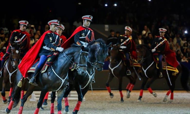 معرض الفرس بالجديدة: الدرك الملكي يجمع بين الأداء الميداني ورفاهية الخيل